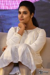Hari Teja at A Aa Movie Success Meet